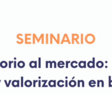 Seminario sin EVA web