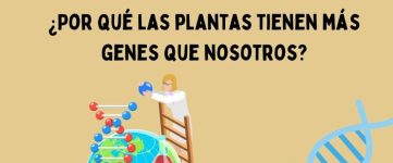 Divulgación científica